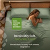 image:imageCariloha Classic 4Piece Twill Sheet Set  Tahitian Breeze  Queen  Viscose Material  Allergy Resistant and Extra Soft  Cooling for Hot Sleepers  Corner BandsSage