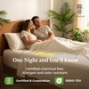 image:imageCariloha Classic 4Piece Twill Sheet Set  Tahitian Breeze  Queen  Viscose Material  Allergy Resistant and Extra Soft  Cooling for Hot Sleepers  Corner BandsIvory