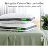 image:imageCariloha Luxurious Resort Pillow  White Standard  32L x 20  Viscose Material  Naturally breathable Hypoallergenic and Moisture wickingKing US Standard