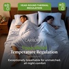 image:imageCariloha Retreat Sheet Set  Bamboo Lyocell  White  King  Our Softest Luxury Cooling Sheet Sateen Weave 18 in Deep Pockets 1 Fitted 1 Flat 2 Pillowcases OEKOTEX Standard 100White