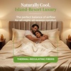 image:imageCariloha Resort Sheet Set  Cooling Viscose from Bamboo  Ocean Mist  KingCoconut Milk